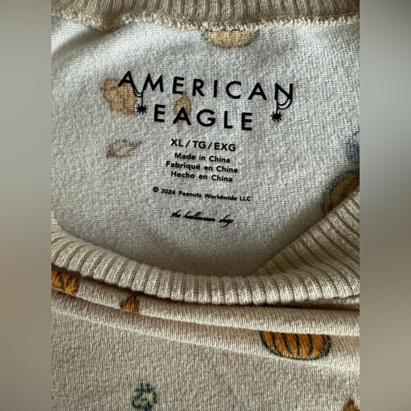 AE Peanuts Fall Plush PJ Set - Picture 6 of 7